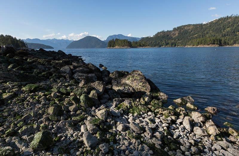 Backeddy Resort And Marina Egmont Buitenkant foto
